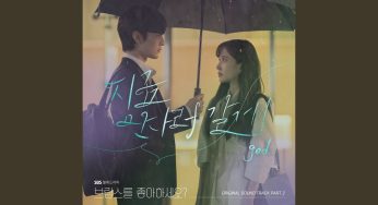 ブラームスが好きですかのOST主題歌や挿入歌とは【韓国ドラマOST】