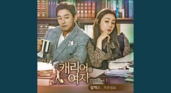 キャリアを引く女のOST主題歌や挿入歌とは【韓国ドラマOST】