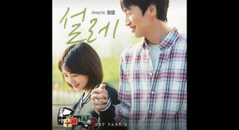 サウンド・オブ・ハートのOST主題歌や挿入歌とは【韓国ドラマOST】