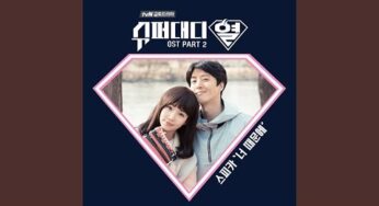 パパはスーパースターのOST主題歌や挿入歌とは【韓国ドラマOST】