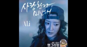 ラブリー・アランのOST主題歌や挿入歌とは【韓国ドラマOST】